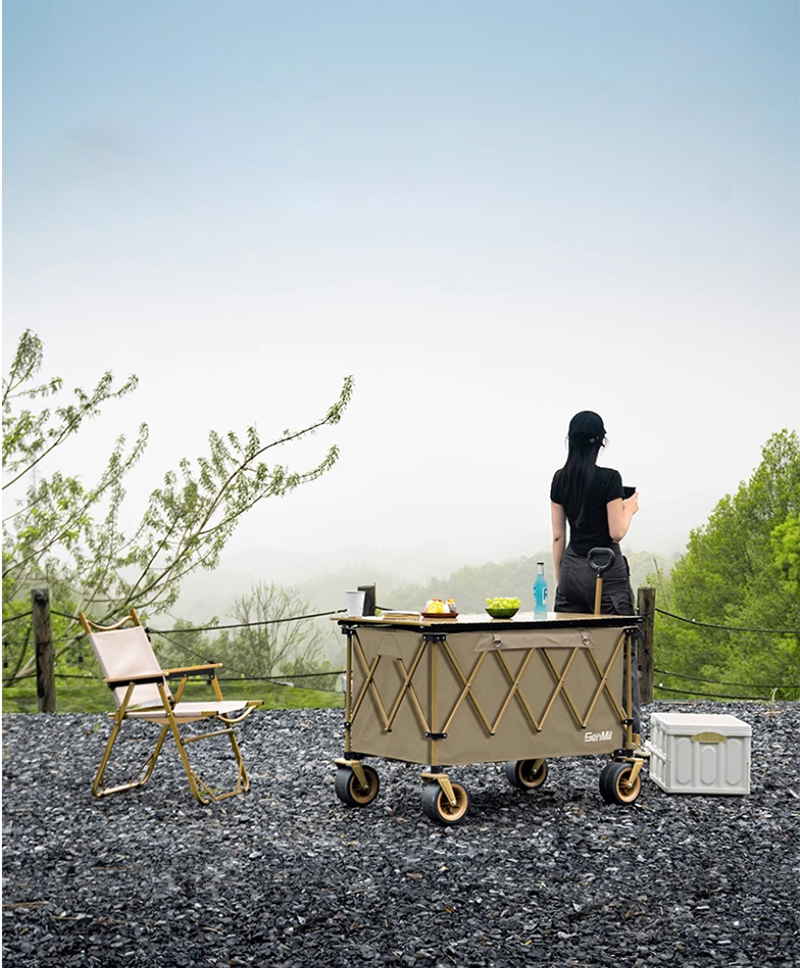 Black Folding  Cart Portable   - Sports Equipment Trolley recension och pris