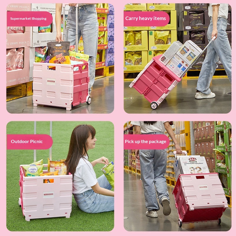 Portable Foldable Shopping Tro - Sports Equipment Trolley recension och pris
