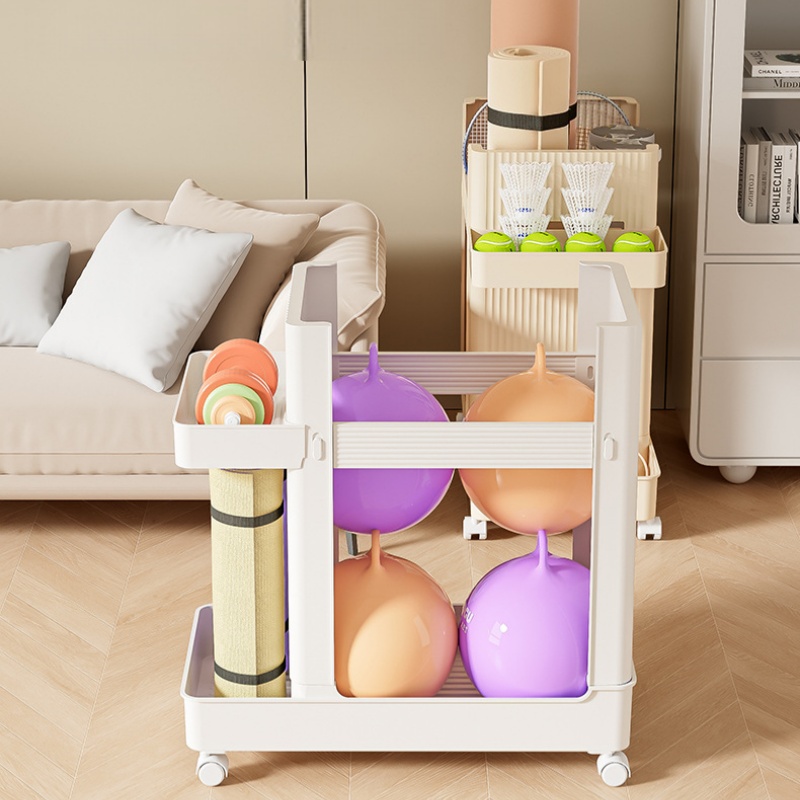 Sports Equipment Storage Rack  - Sports Equipment Trolley recension och pris